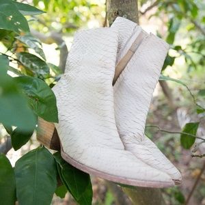 Matisse Women's Caty Ivory Snake Fashion Booties